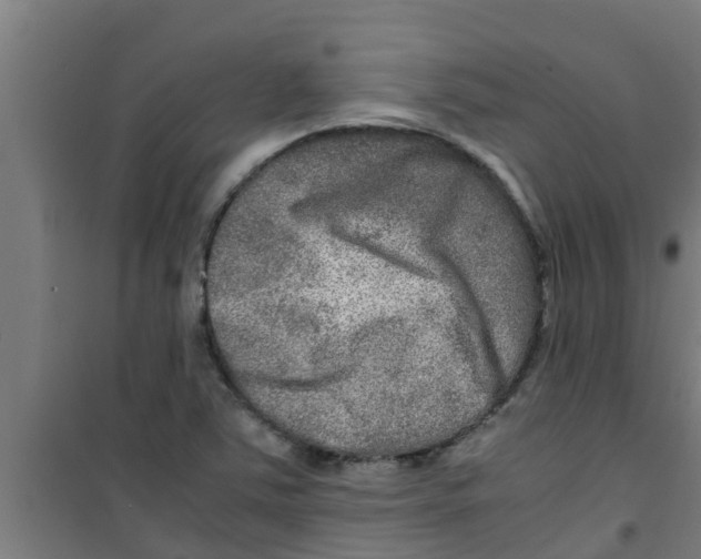 X0000100401363200807032003