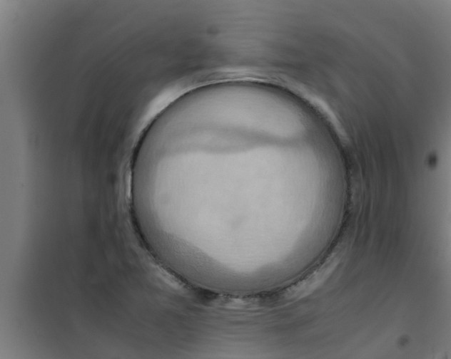 X0000100401365200807032003