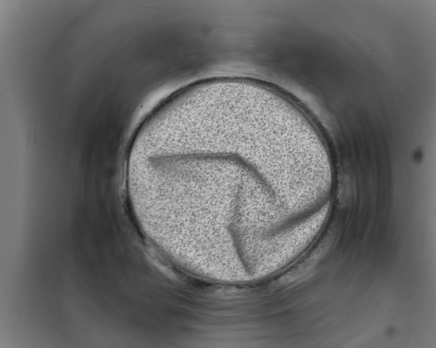 X0000100401366200807032003