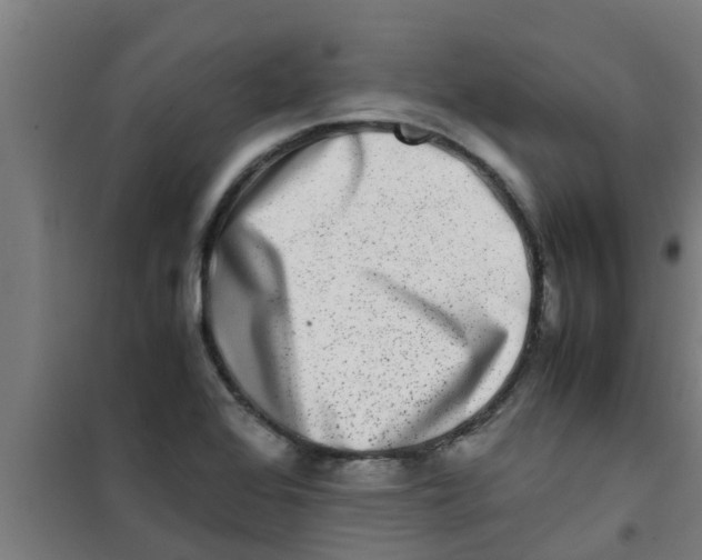 X0000100401368200807032003