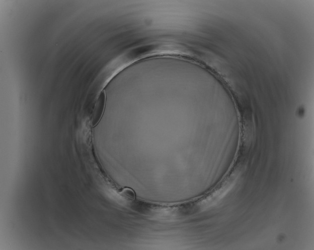 X0000100401369200807032003