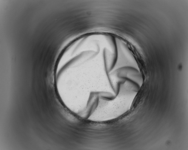 X0000100401372200807032003