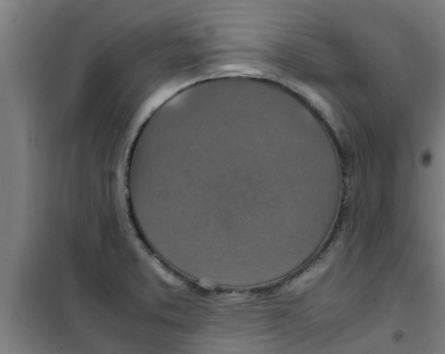 X0000100401373200807032003