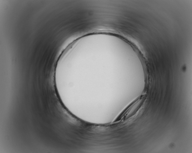 X0000100401374200807032003