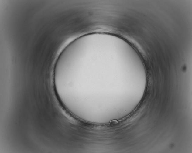 X0000100401375200807032003