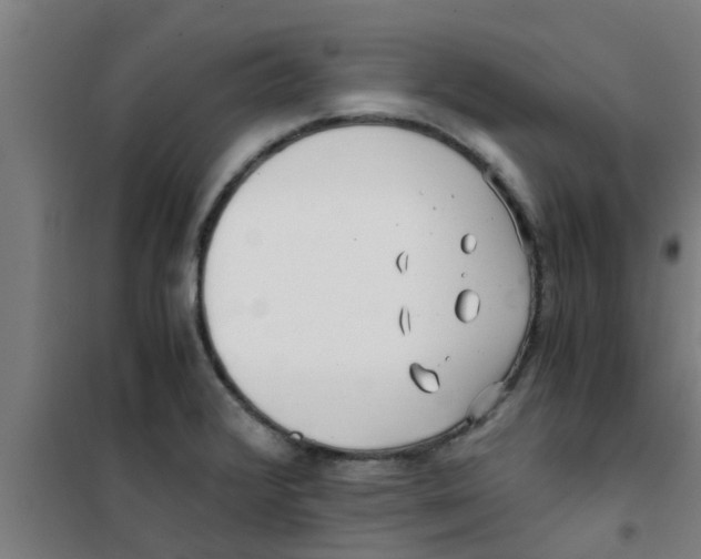X0000100401376200807032003