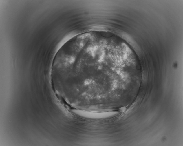 X0000100401378200807032003