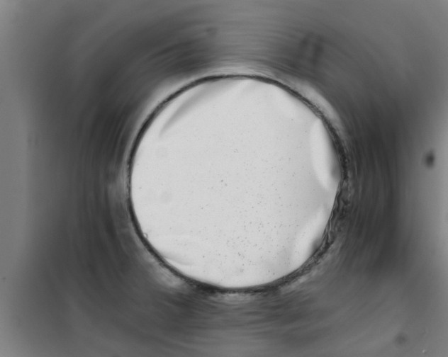 X0000100401380200807032003