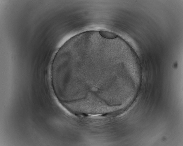 X0000100401382200807032003