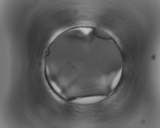 X0000100401383200807032003
