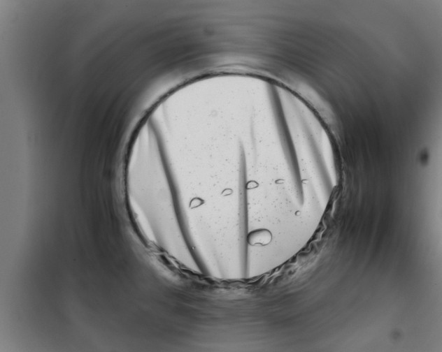 X0000100401384200807032003