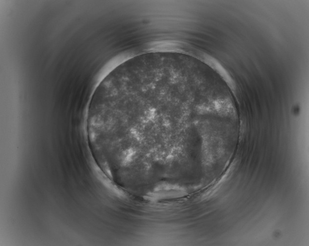 X0000100401386200807032003