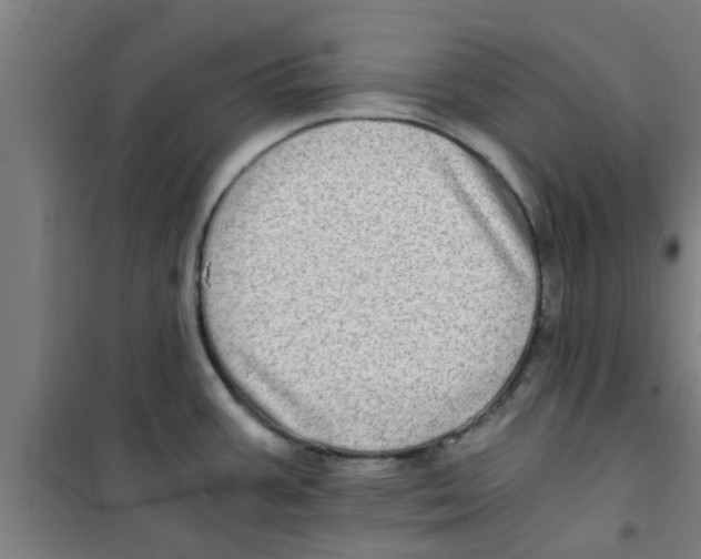 X0000100401387200807032003