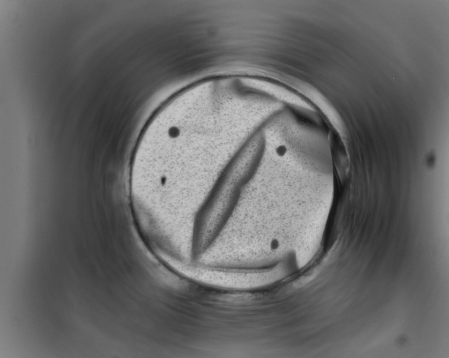 X0000100401388200807032003