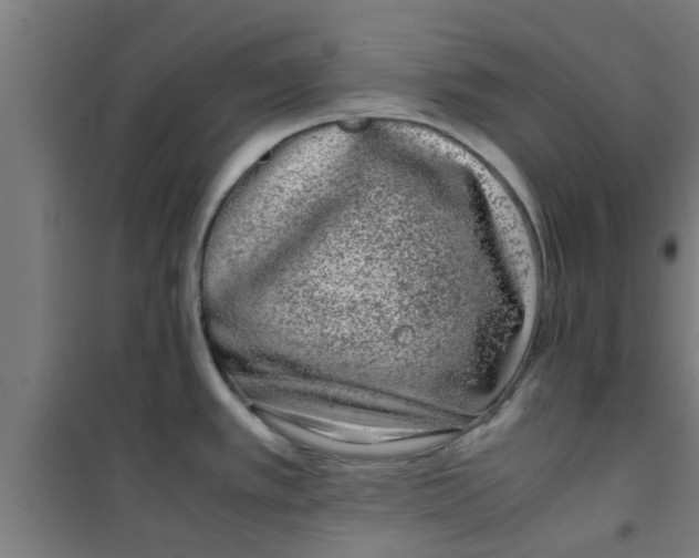 X0000100401389200807032003