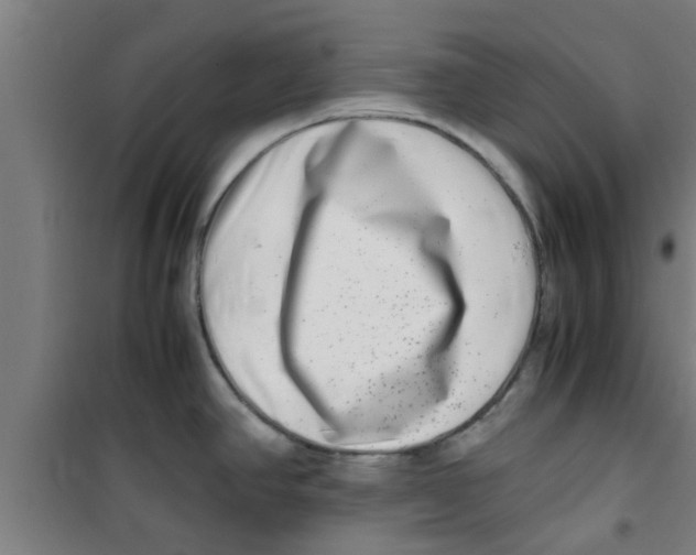 X0000100401390200807032003