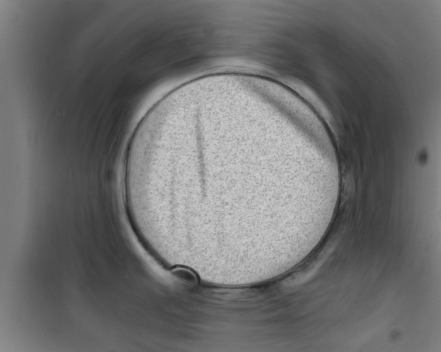 X0000100401391200807032003