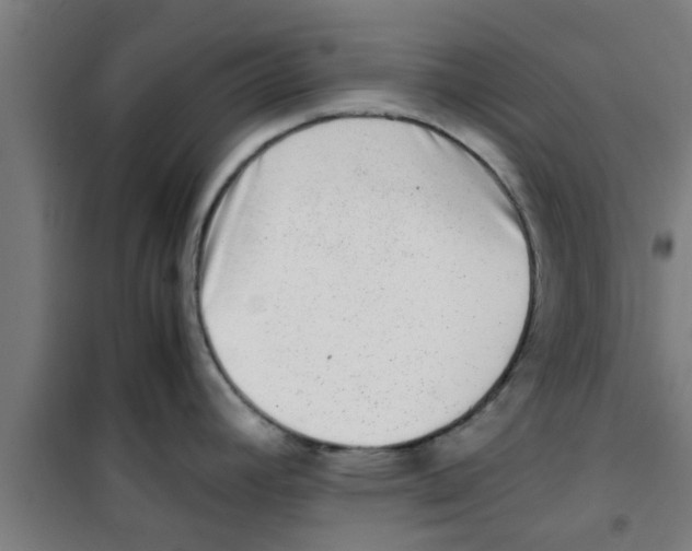 X0000100401392200807032003