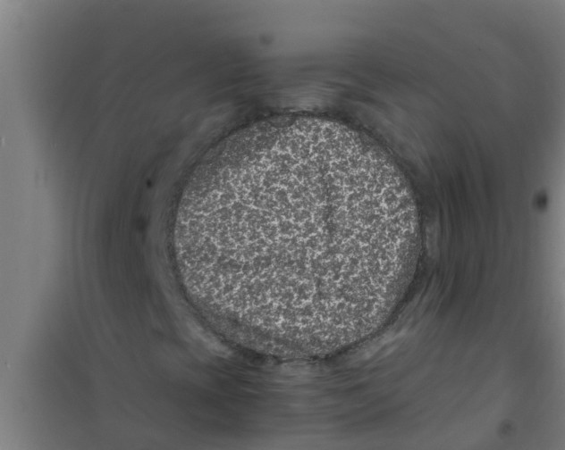 X0000100401393200807032002