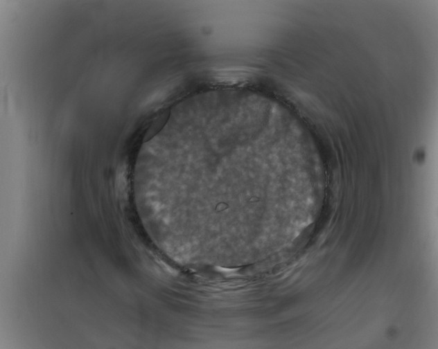 X0000100401394200807032002