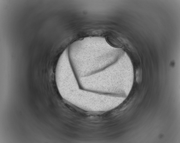 X0000100401395200807032002