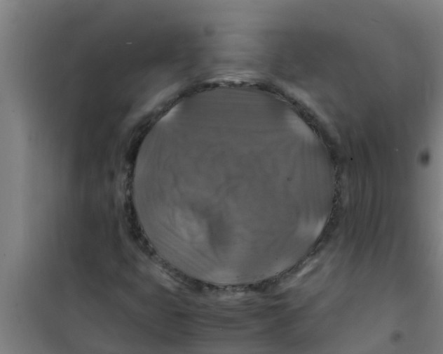X0000100401399200807032002
