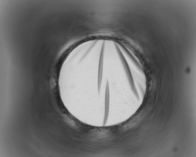 X0000100401400200807032002