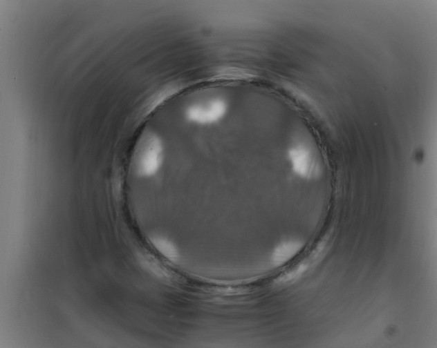 X0000100401401200807032002