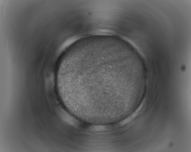 X0000100401402200807032002