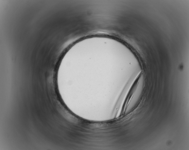 X0000100401404200807032002
