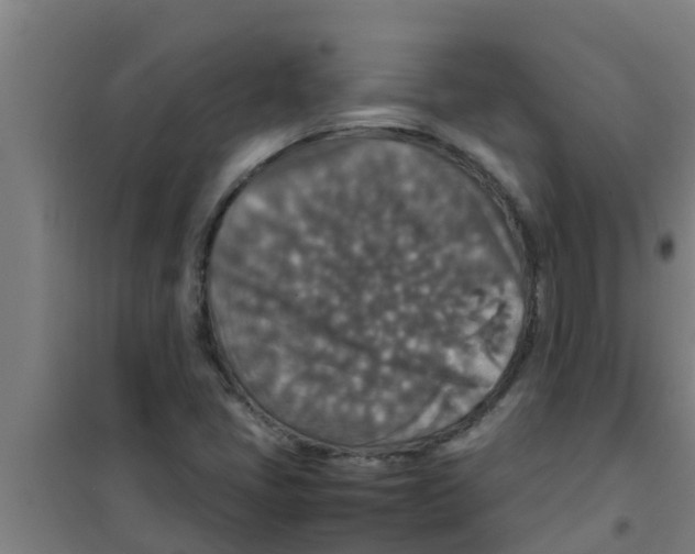 X0000100401405200807032002