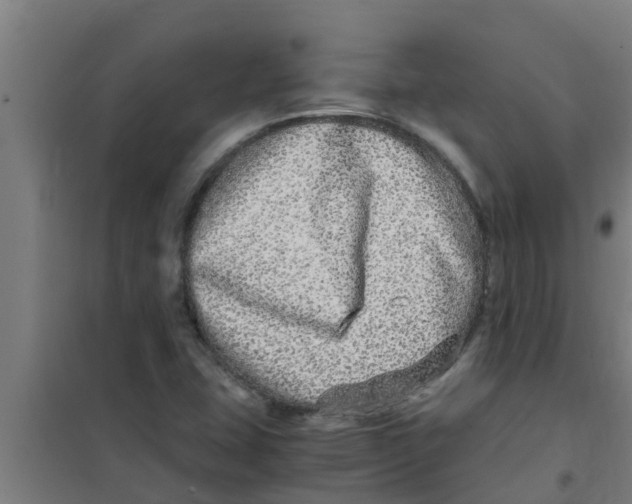 X0000100401407200807032002