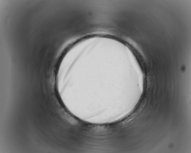 X0000100401408200807032002