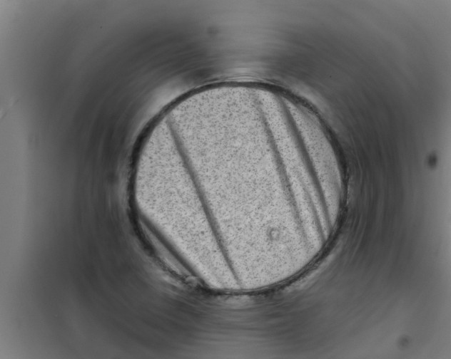 X0000100401410200807032002