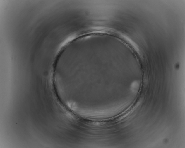 X0000100401411200807032002