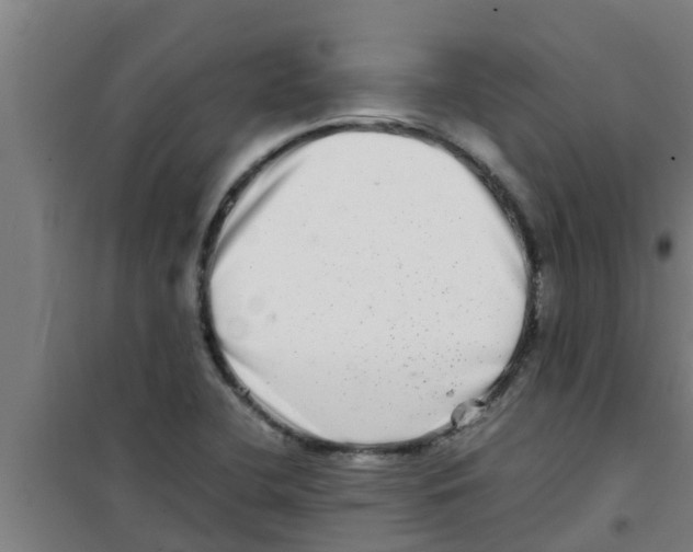 X0000100401412200807032002