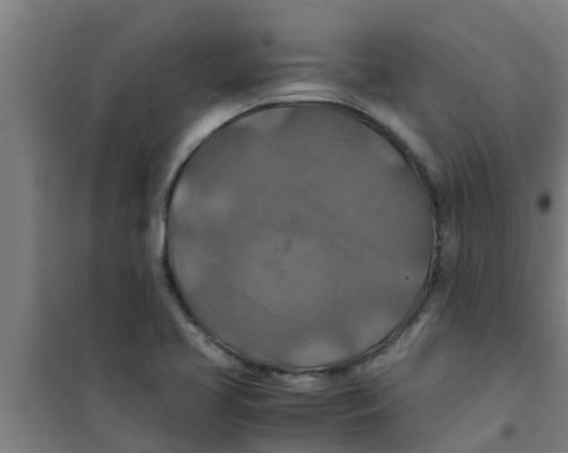 X0000100401413200807032002
