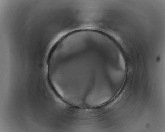 X0000100401414200807032002