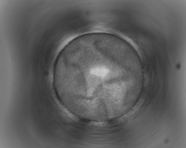 X0000100401415200807032002