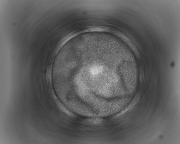 X0000100401417200807032003
