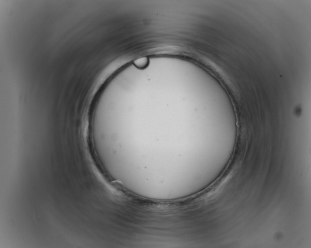 X0000100401418200807032003
