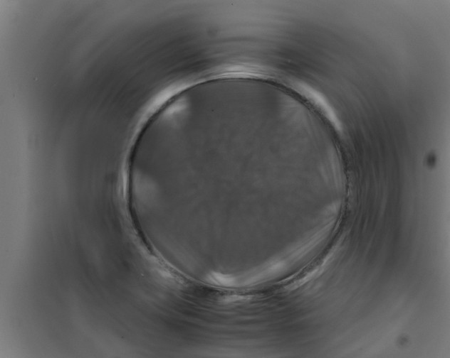 X0000100401419200807032003