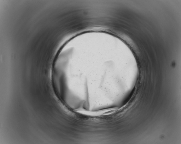 X0000100401420200807032003