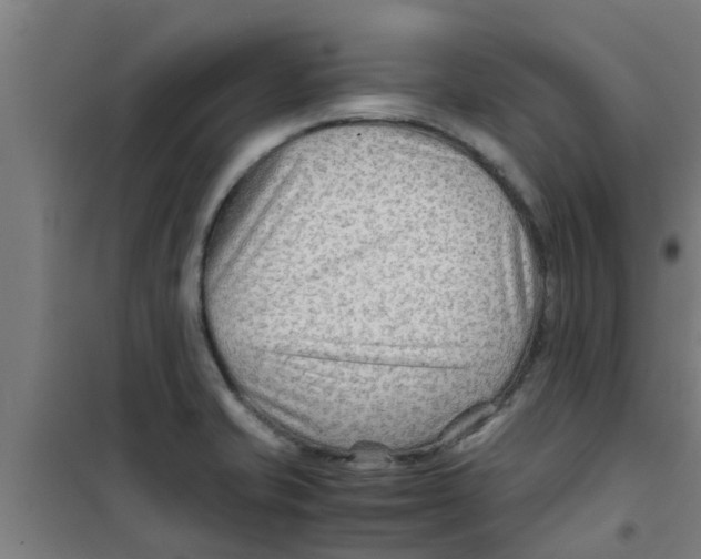 X0000100401421200807032003