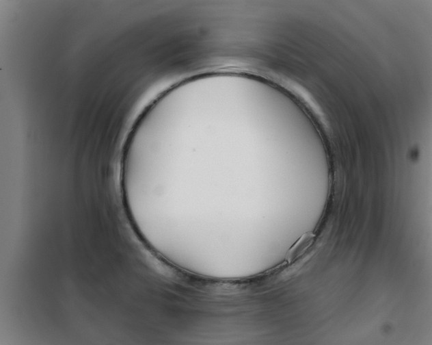 X0000100401424200807032003