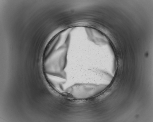 X0000100401426200807032003