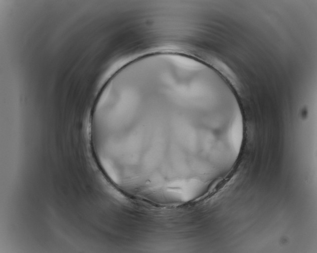 X0000100401428200807032003