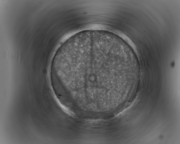 X0000100401429200807032003