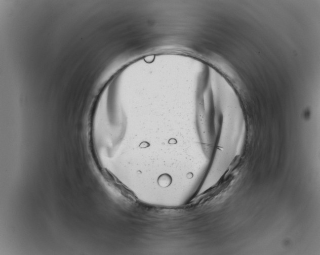 X0000100401430200807032003