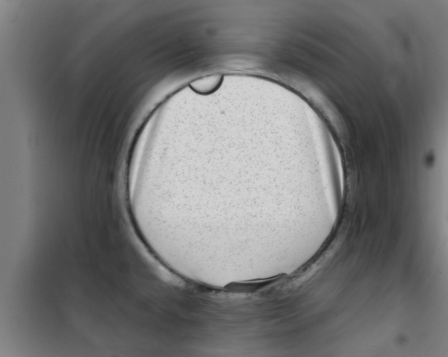 X0000100401432200807032003